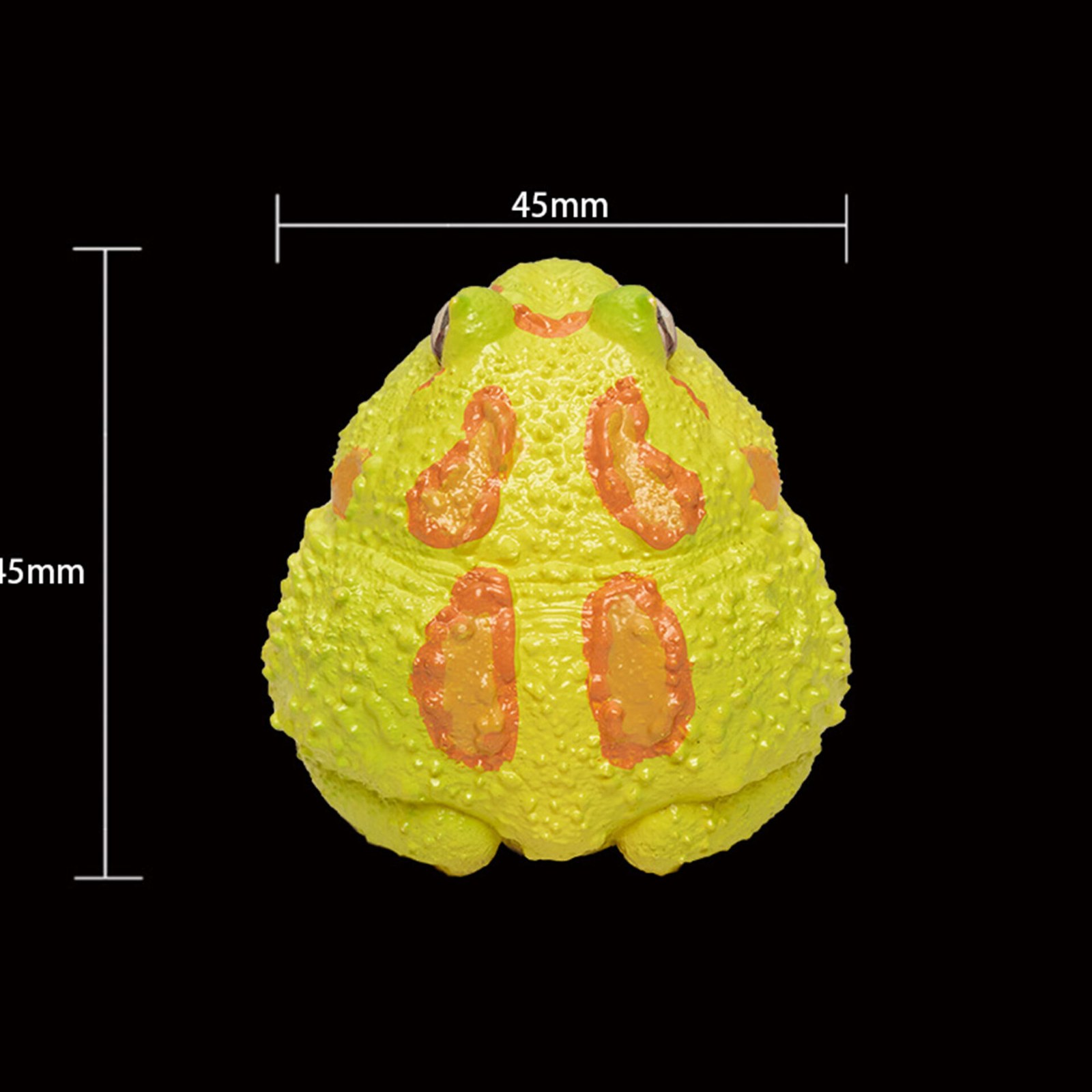 AHB Series 13 - Albino Horned Frog (Yellow) – Ceratophrys cranwelli | Frog