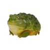 AHB-FROG-V13-04_01-8af14106 AHB Series 13 - African Bullfrog – Pyxicephalus adspersus | Frog