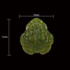 AHB-FROG-V13-04_05-882b5509 AHB Series 13 - African Bullfrog – Pyxicephalus adspersus | Frog