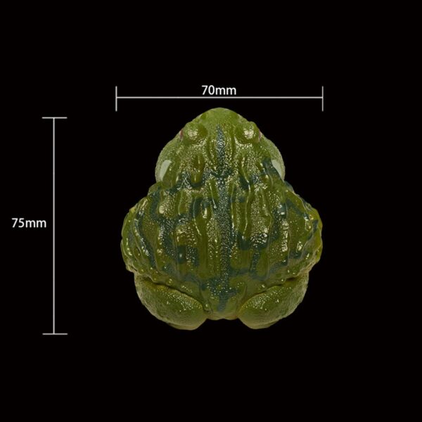 AHB Series 13 - African Bullfrog – Pyxicephalus adspersus | Frog