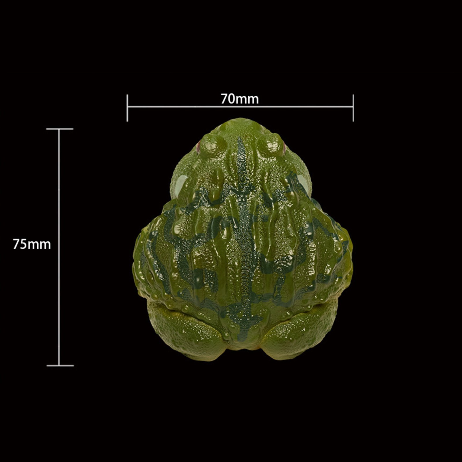 AHB-FROG-V13-04_05-882b5509 AHB Series 13 - African Bullfrog – Pyxicephalus adspersus | Frog