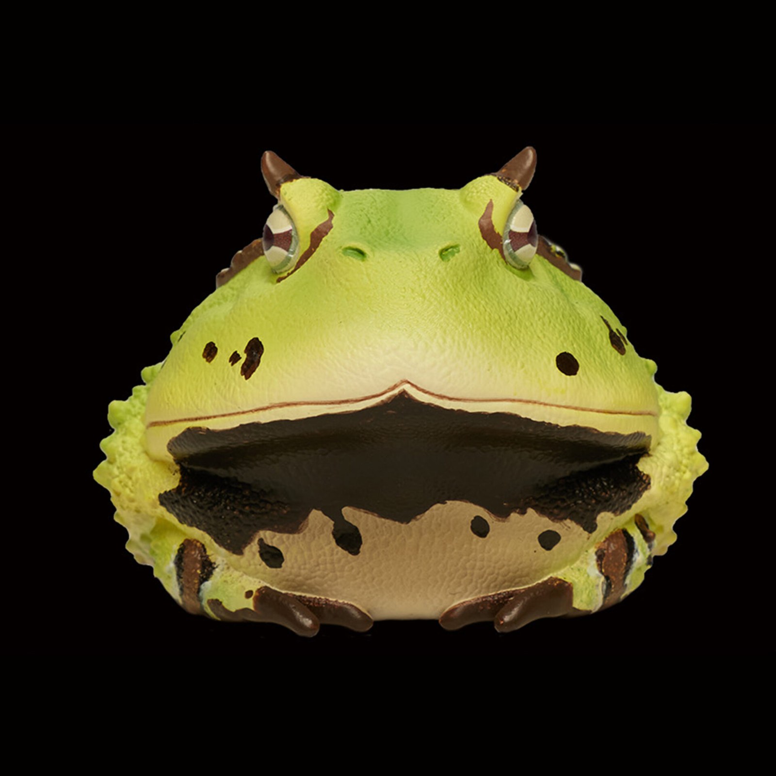 AHB Series 13 - Amazon Horned Frog (Green) – Ceratophrys cornuta | Frog