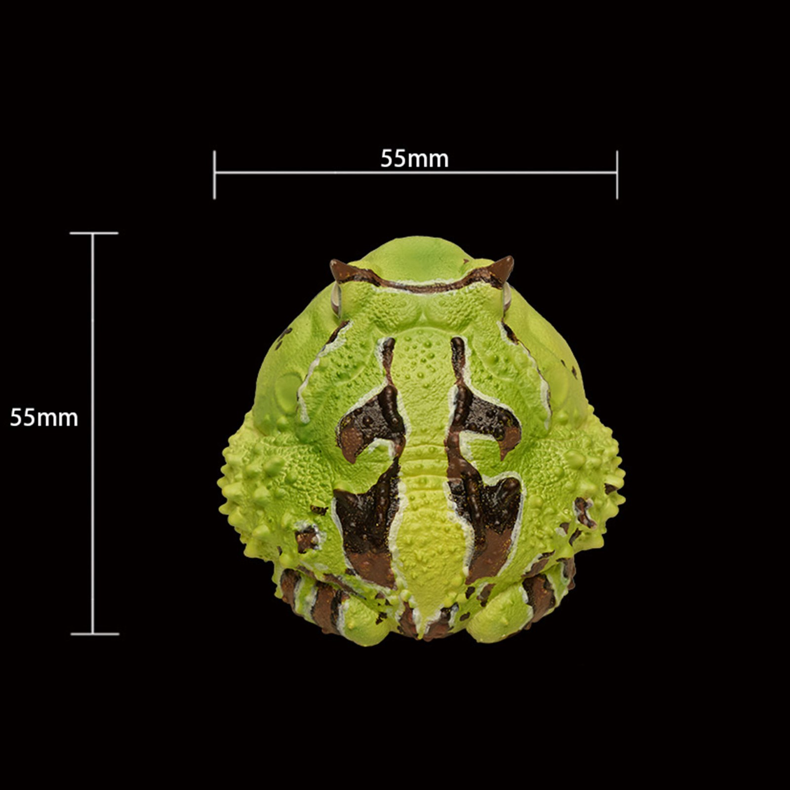 AHB Series 13 - Amazon Horned Frog (Green) – Ceratophrys cornuta | Frog