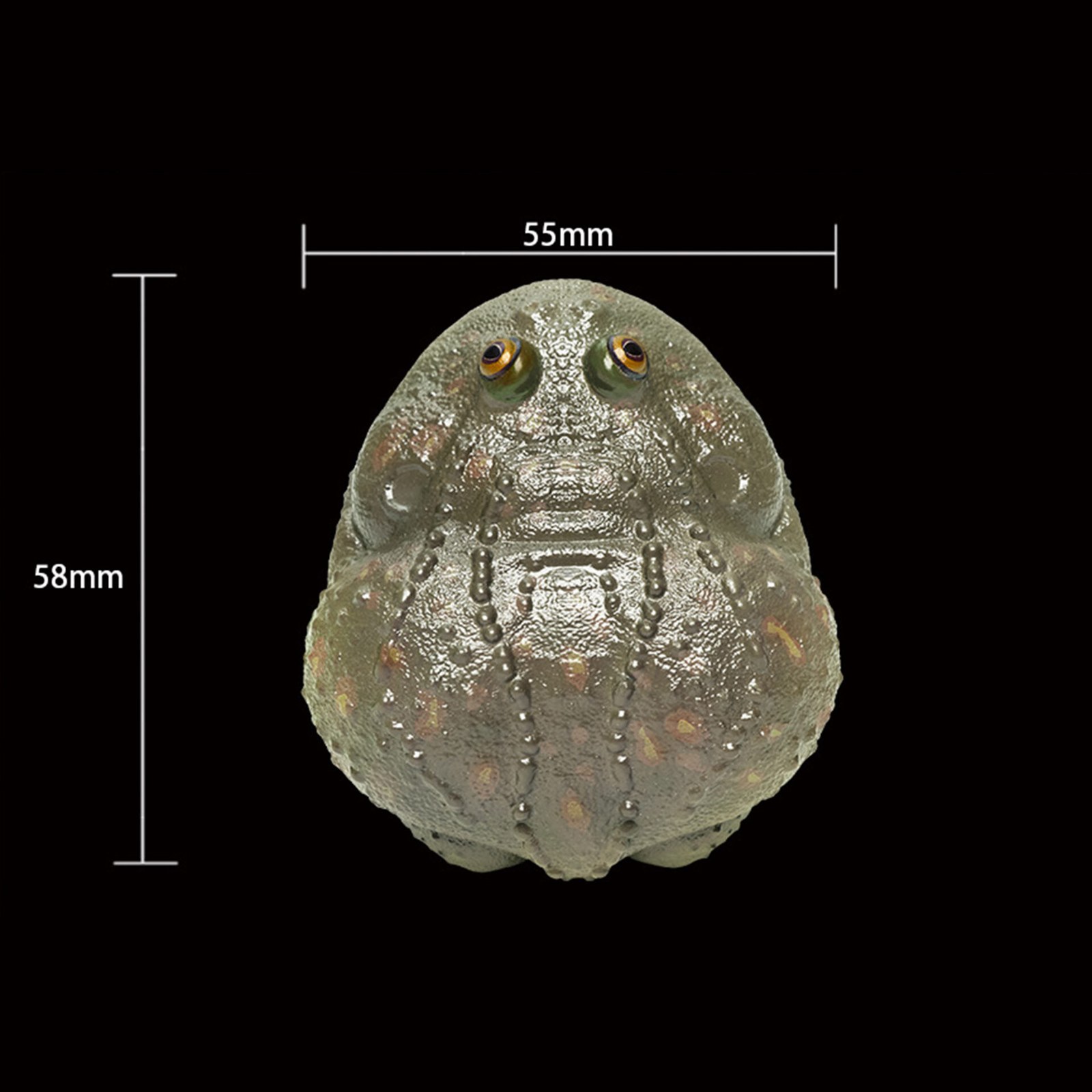 AHB-FROG-V13-08_05-a0f76092 AHB Series 13 - Budgett’s Frog – Lepidobatrachus laevis | Frog