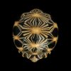 AHB Series 3 - Radiated Tortoise – Astrochelys radiata | Turtle