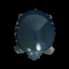 AHB Series 3 - Pig-Nosed Turtle – Carettochelys insculpta | Turtle