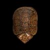AHB Series 3 - Big-headed Turtle (Orange) – Platysternon megacephalum | Turtle