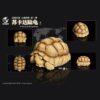 AHB Series 3 - African Spurred Tortoise (Male) – Centrochelys sulcata | Turtle