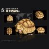 AHB Series 3 - African Spurred Tortoise (Female) – Centrochelys sulcata | Turtle