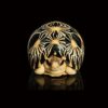 AHB Series 3 - Radiated Tortoise – Astrochelys radiata | Turtle