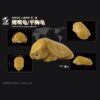 AHB Series 3 - Big-headed Turtle (Yellow) – Platysternon megacephalum | Turtle