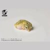 AHB Series 2 - Leopard Gecko – Eublepharis macularius | Gecko