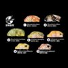 AHB Series 2 - Leopard Gecko – Eublepharis macularius | Gecko