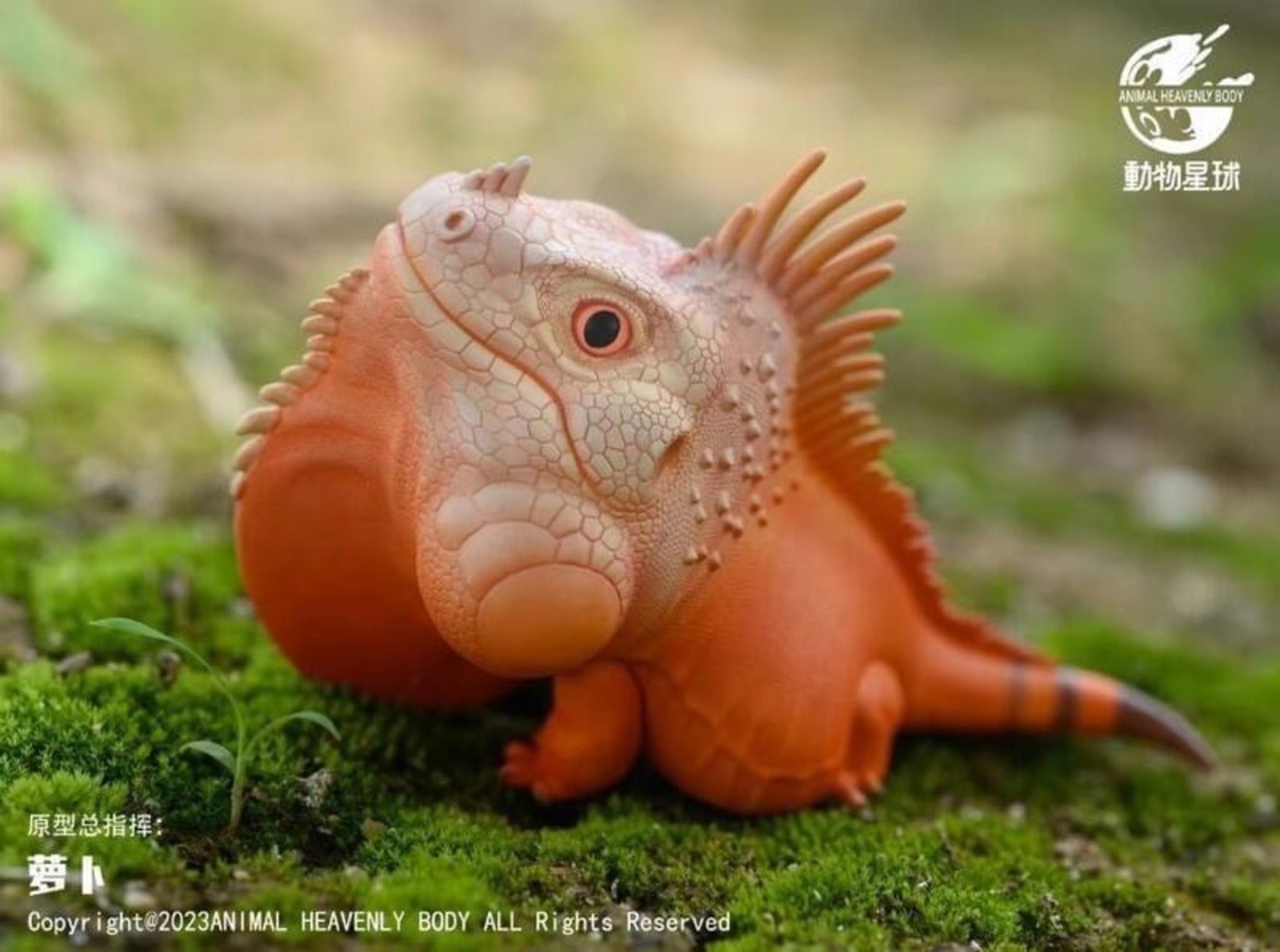 Green Iguana (Red Albino)