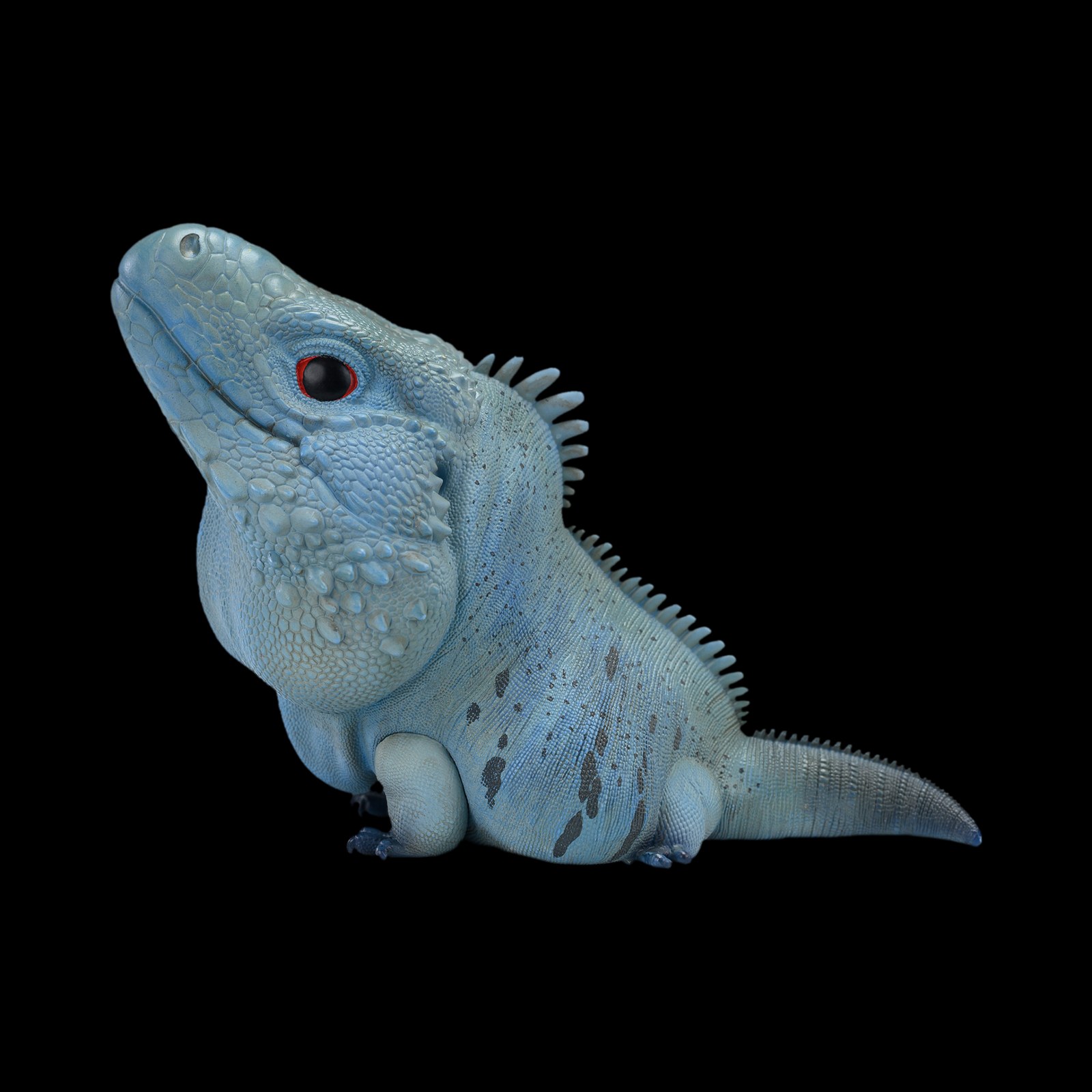 AHB Series 16 - Blue Iguana – Cyclura lewisi | Lizard
