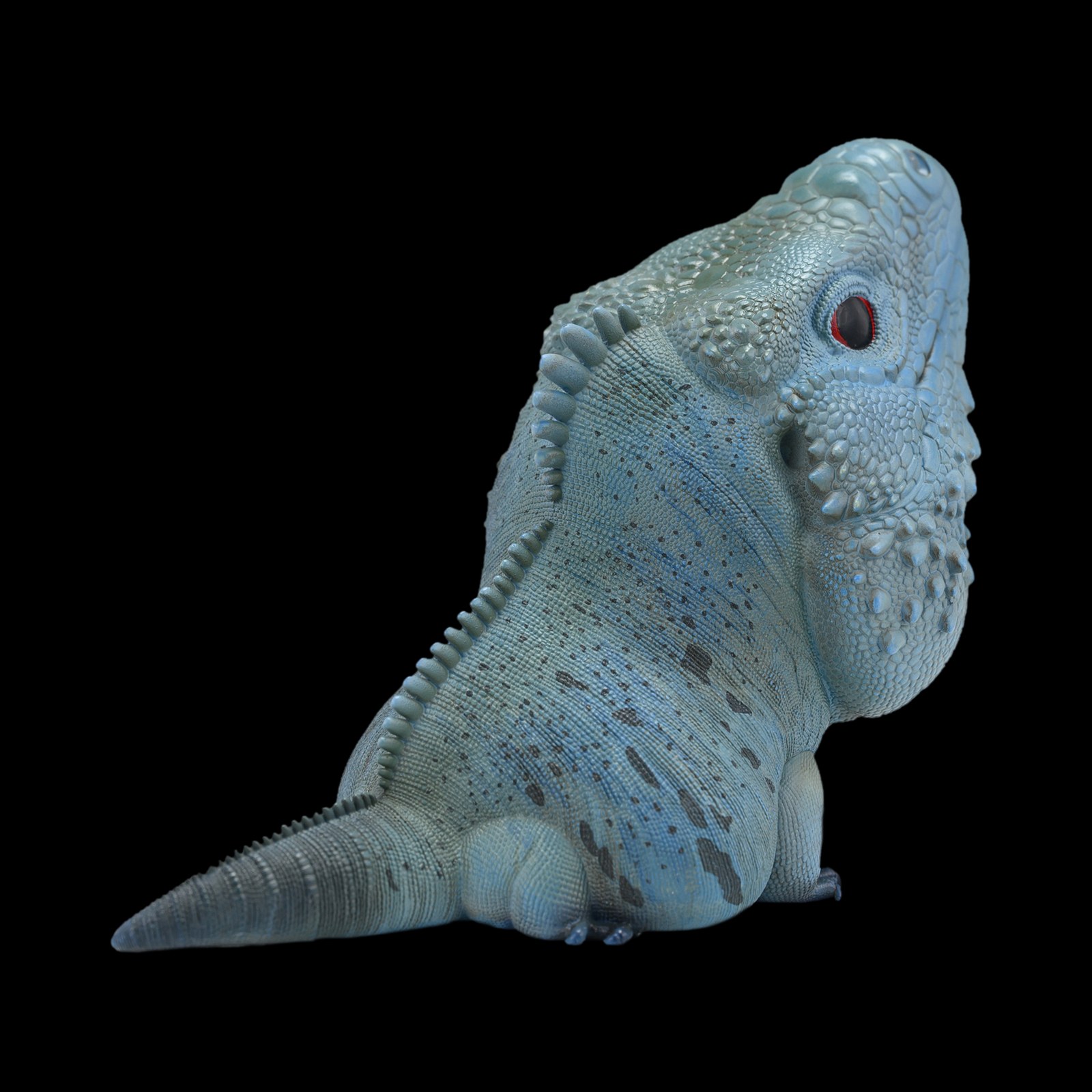 AHB Series 16 - Blue Iguana – Cyclura lewisi | Lizard