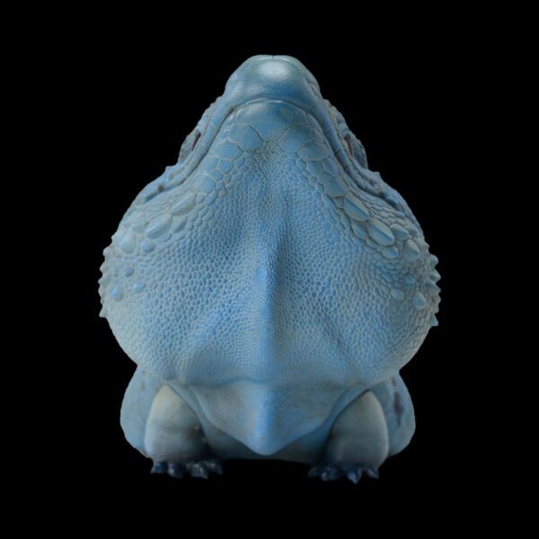 AHB-V16-03_05-743ee98a AHB Series 16 - Blue Iguana – Cyclura lewisi | Lizard