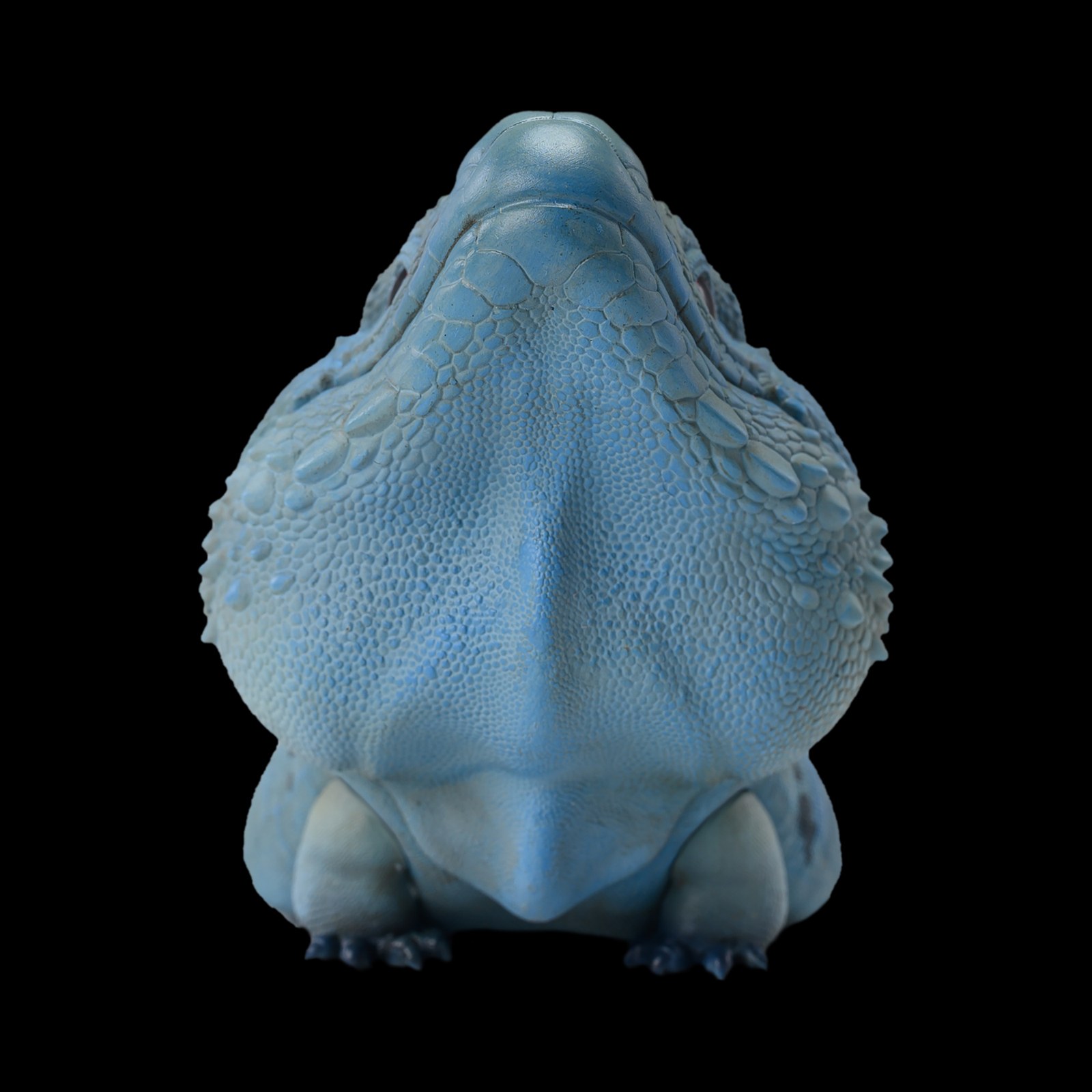 AHB Series 16 - Blue Iguana – Cyclura lewisi | Lizard