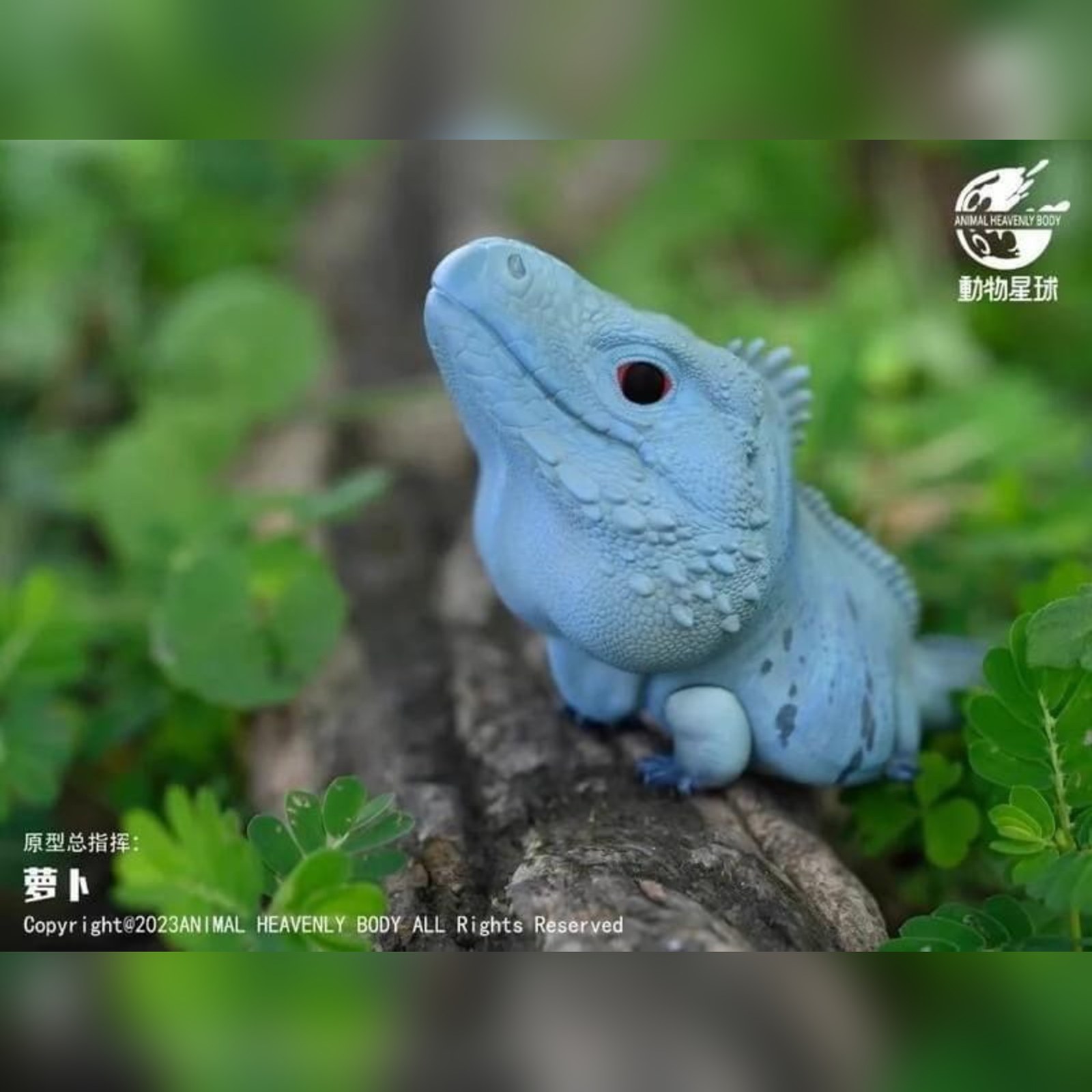 AHB Series 16 - Blue Iguana – Cyclura lewisi | Lizard