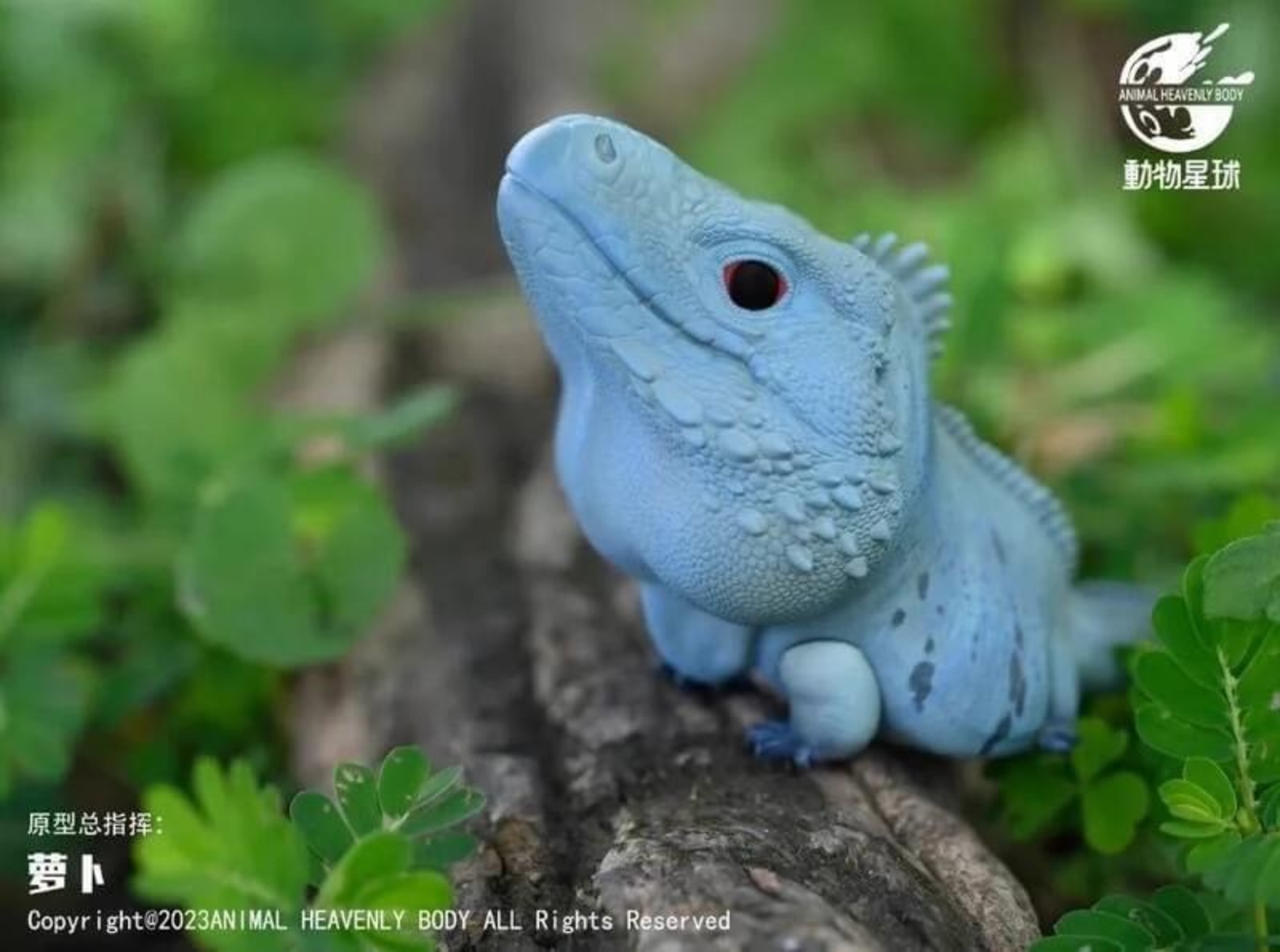 Blue Iguana