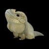 AHB Series 16 - Rhinoceros Iguana – Cyclura cornuta | Lizard