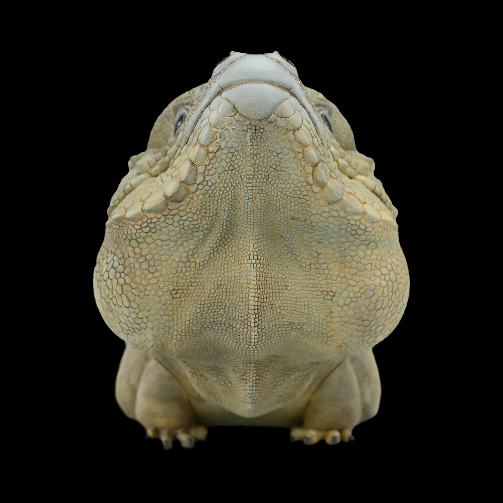 AHB Series 16 - Rhinoceros Iguana – Cyclura cornuta | Lizard