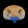 AHB-V16-05_03-114a74c4 AHB Series 16 - Blue-Tongued Skink – Tiliqua scincoides | Lizard