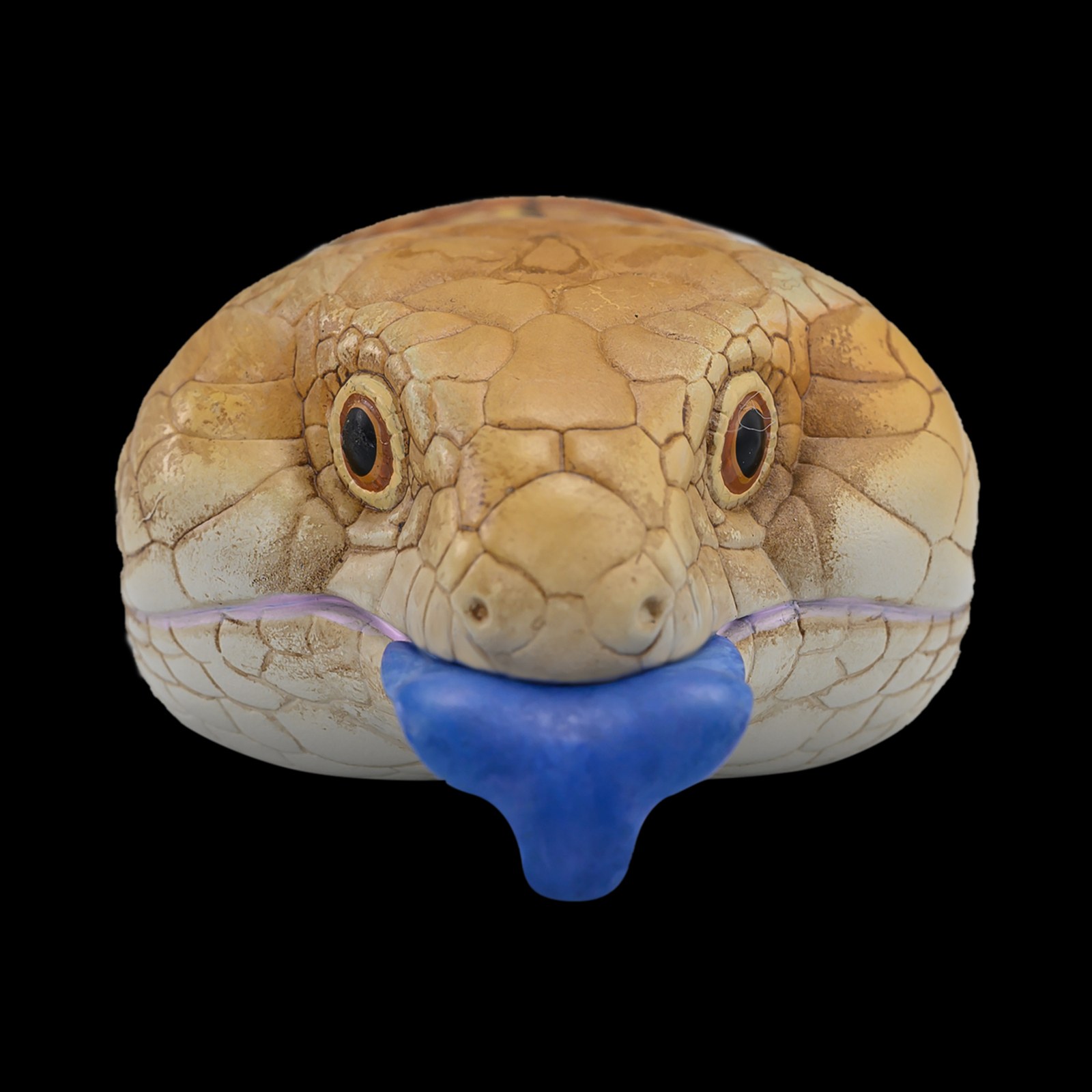 AHB-V16-05_03-114a74c4 AHB Series 16 - Blue-Tongued Skink – Tiliqua scincoides | Lizard