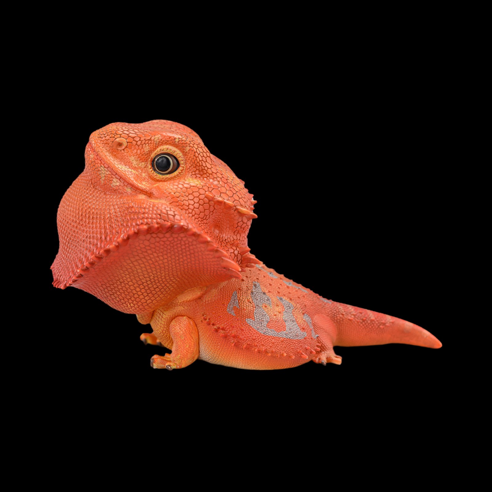 AHB Series 16 - Central Bearded Dragon (Red) – Pogona vitticeps | Lizard
