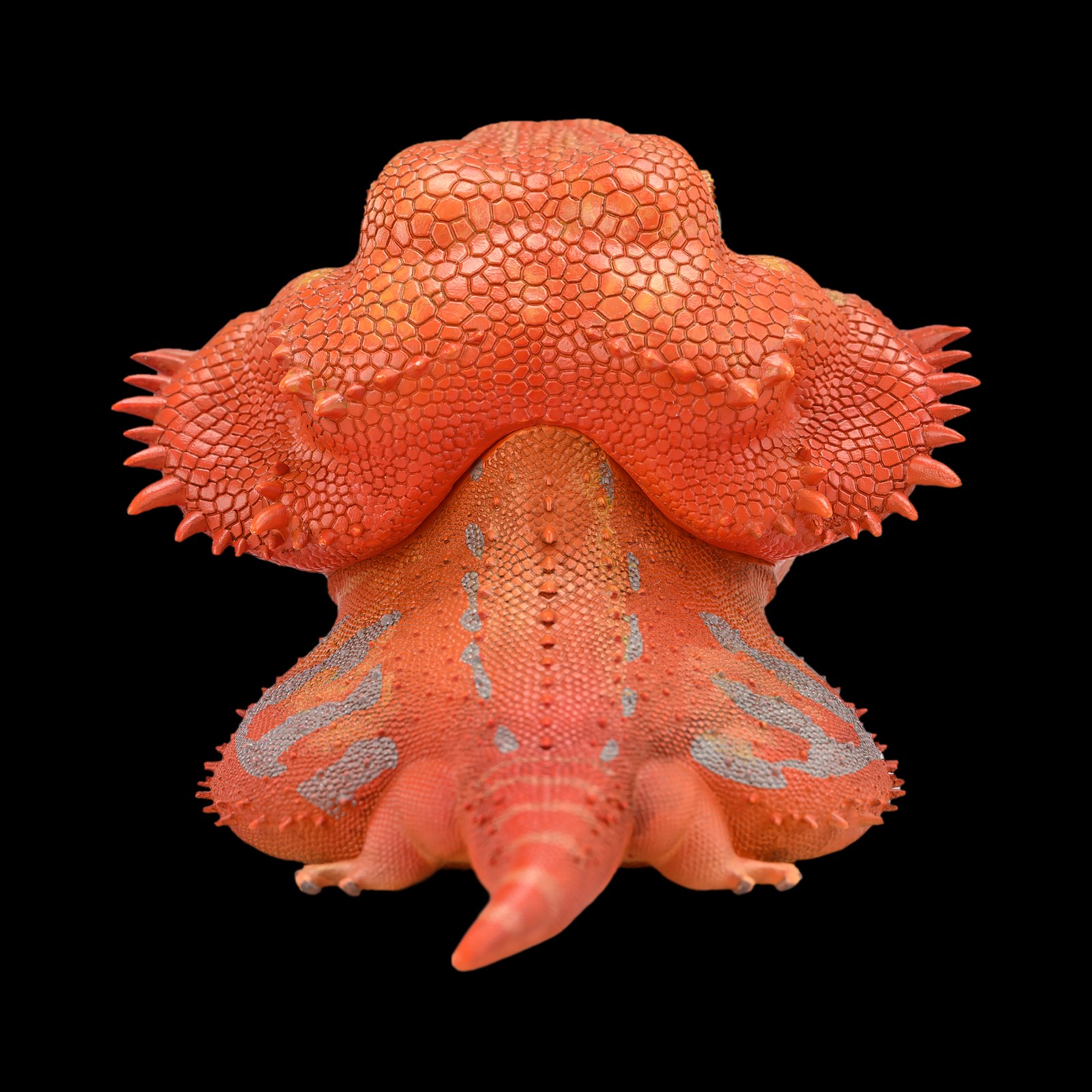 AHB Series 16 - Central Bearded Dragon (Red) – Pogona vitticeps | Lizard