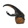 AHB Series 7 - Hercules Beetle (Yellow) – Dynastes hercules | Insect