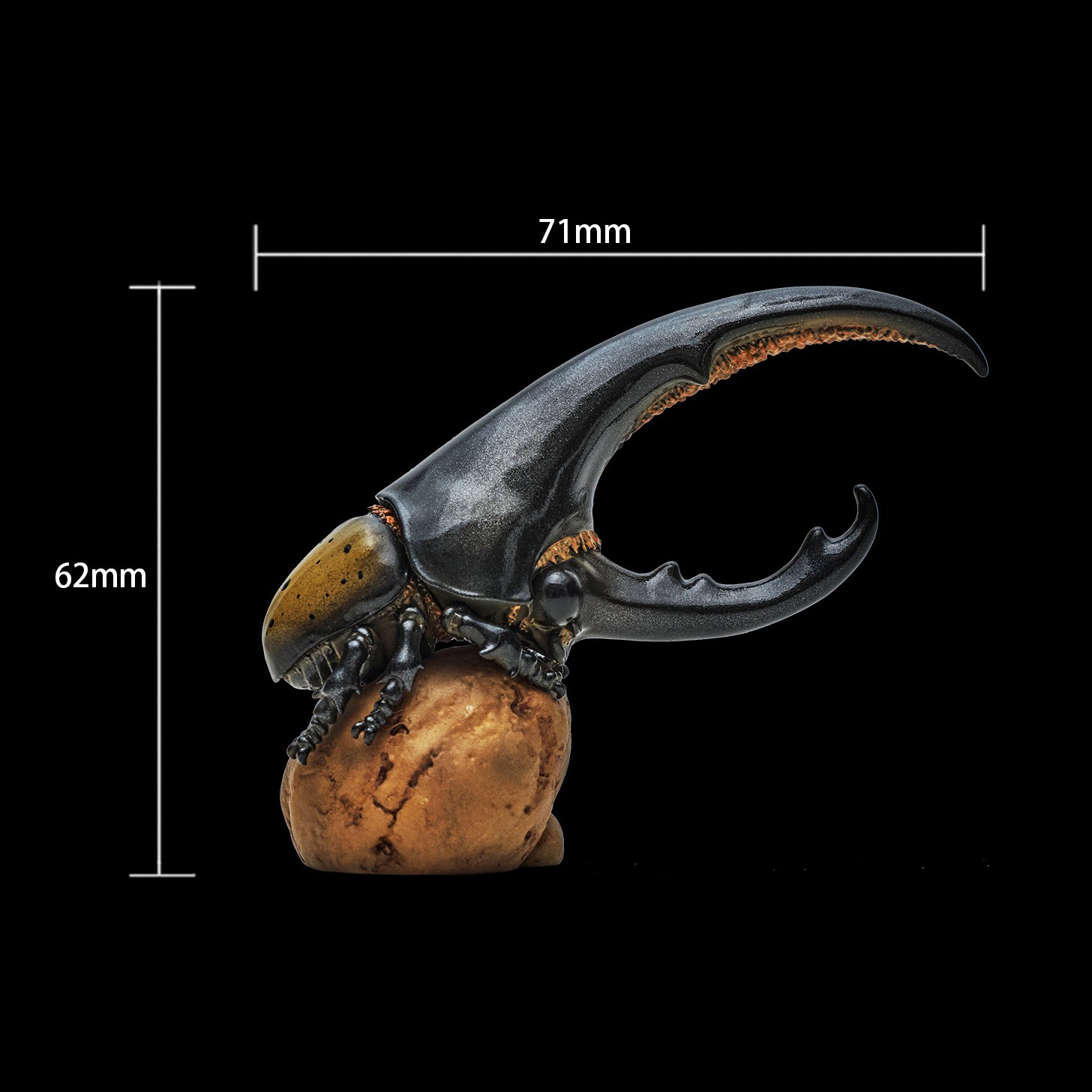 AHB Series 7 - Hercules Beetle (Yellow) – Dynastes hercules | Insect