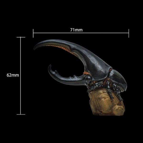 AHB-INSECT-V7-02_03-40c8a7e1 AHB Series 7 - Hercules Beetle (Black) – Dynastes hercules | Insect
