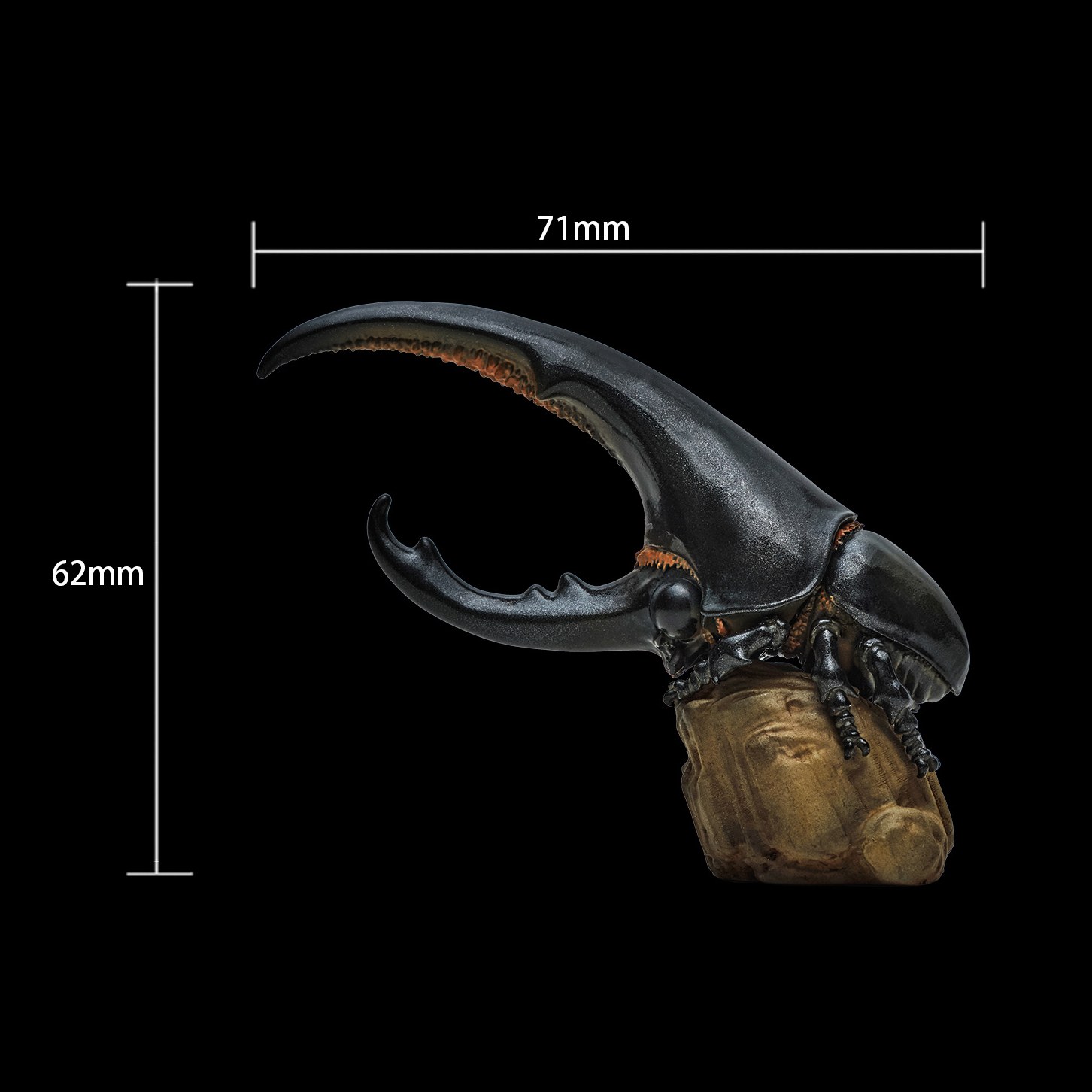 AHB Series 7 - Hercules Beetle (Black) – Dynastes hercules | Insect