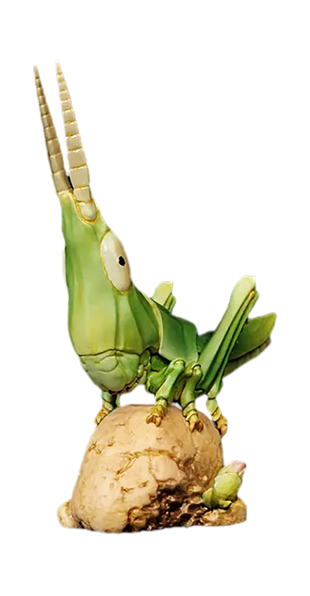 Chinese Grasshopper