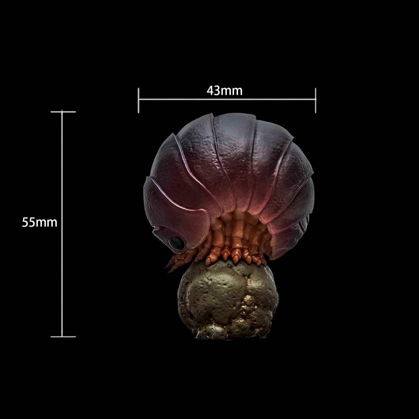 AHB-INSECT-V7-04_03-932e8282 AHB Series 7 - Swift Woodlouse – Porcellio laevis | Insect