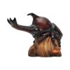 AHB Series 7 - Japanese Rhinoceros Beetle – Allomyrina dichotoma | Insect