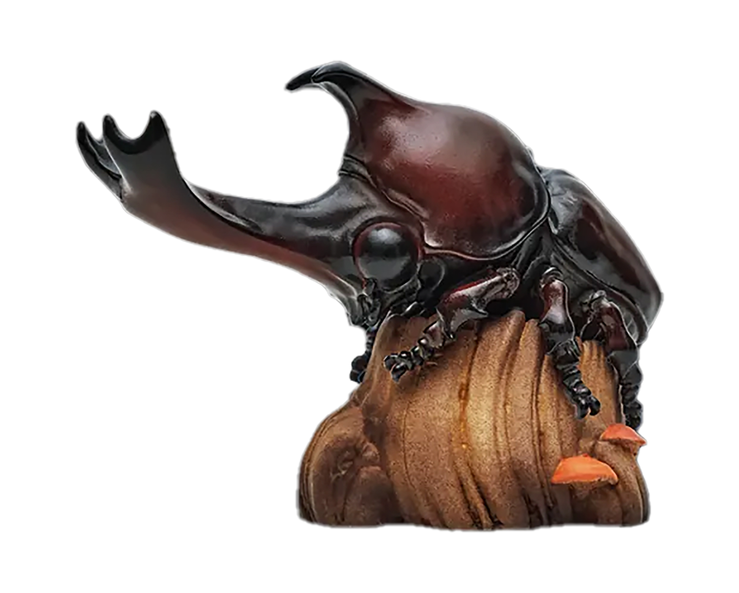 Japanese Rhinoceros Beetle