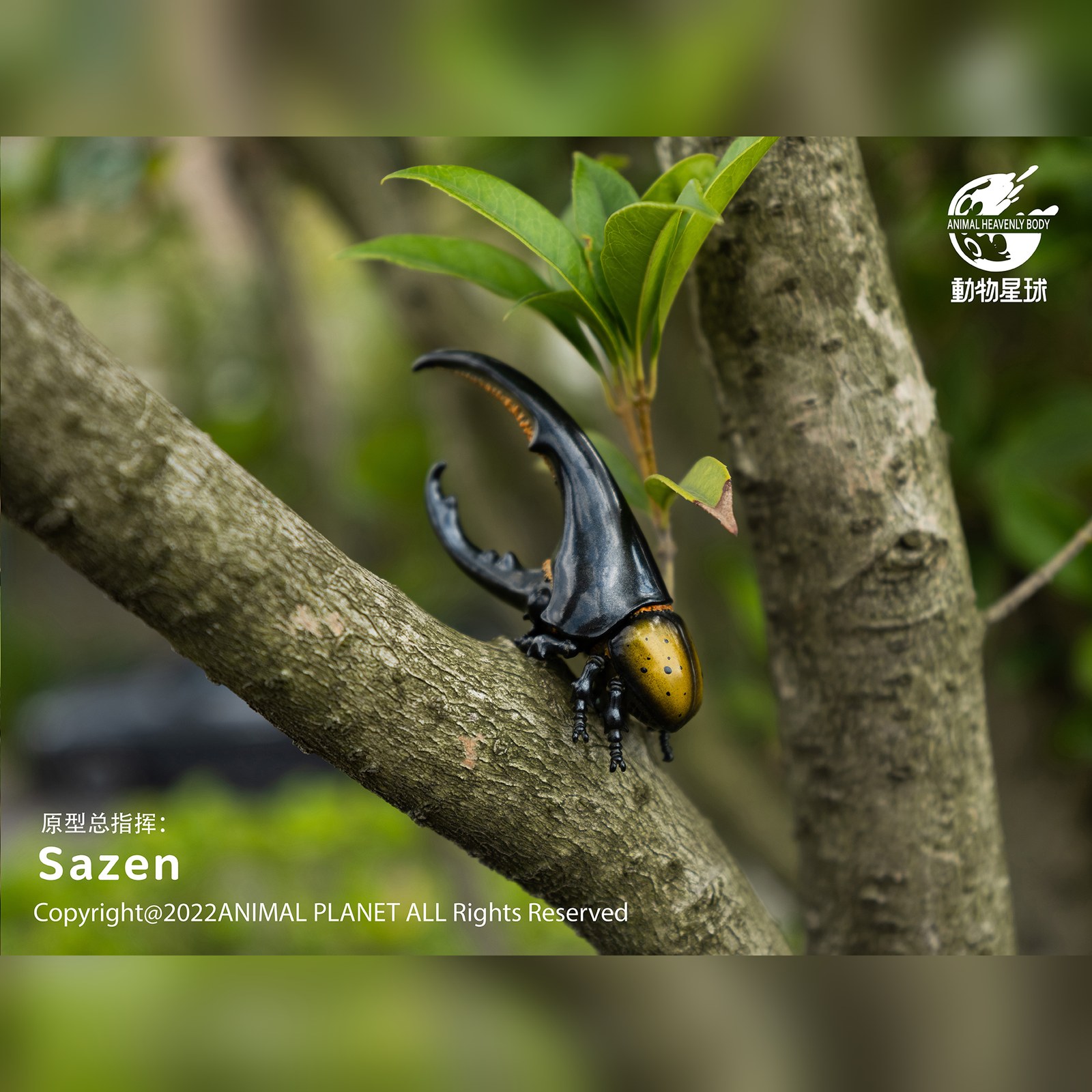AHB Series 7 - Hercules Beetle (Yellow) – Dynastes hercules | Insect