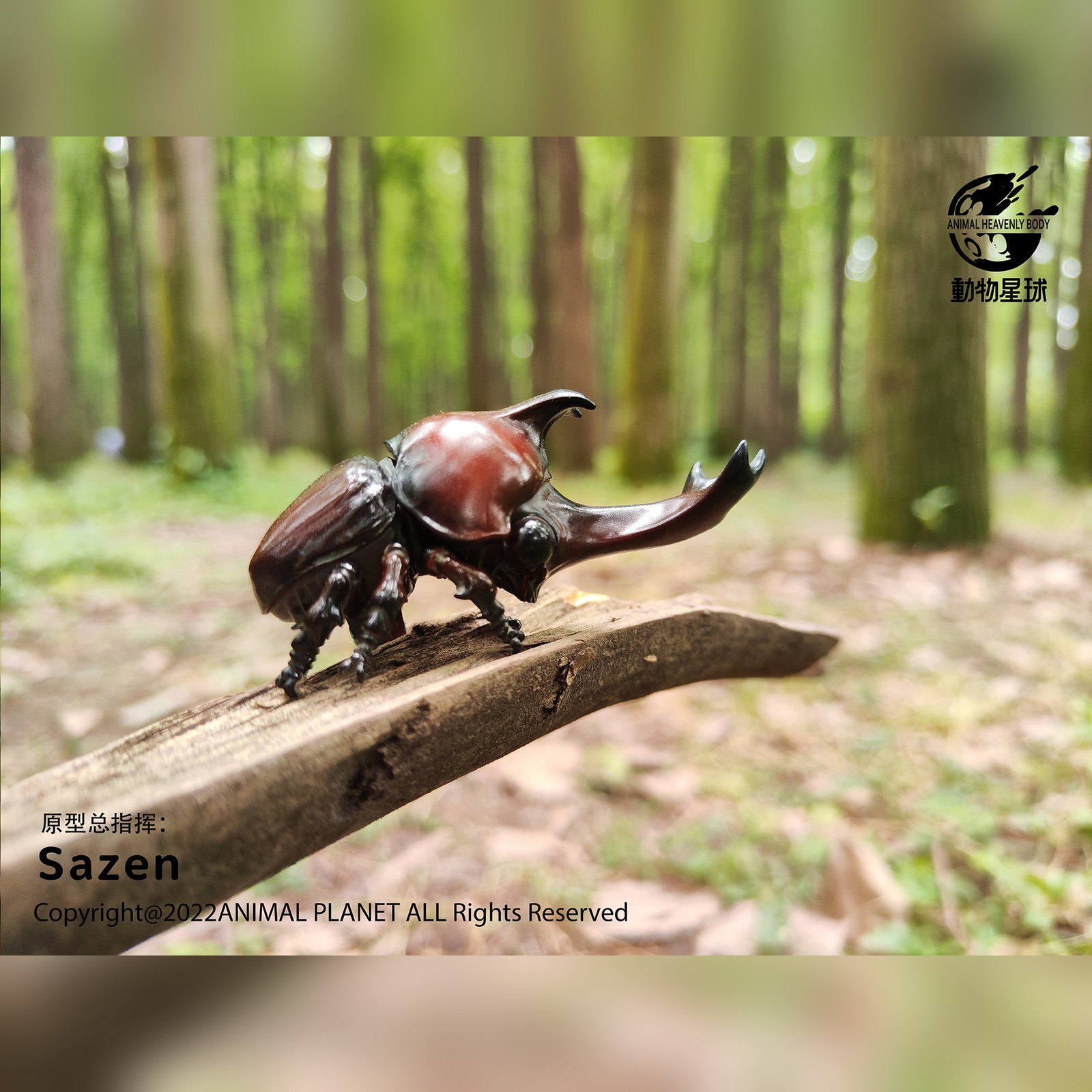 AHB Series 7 - Japanese Rhinoceros Beetle – Allomyrina dichotoma | Insect
