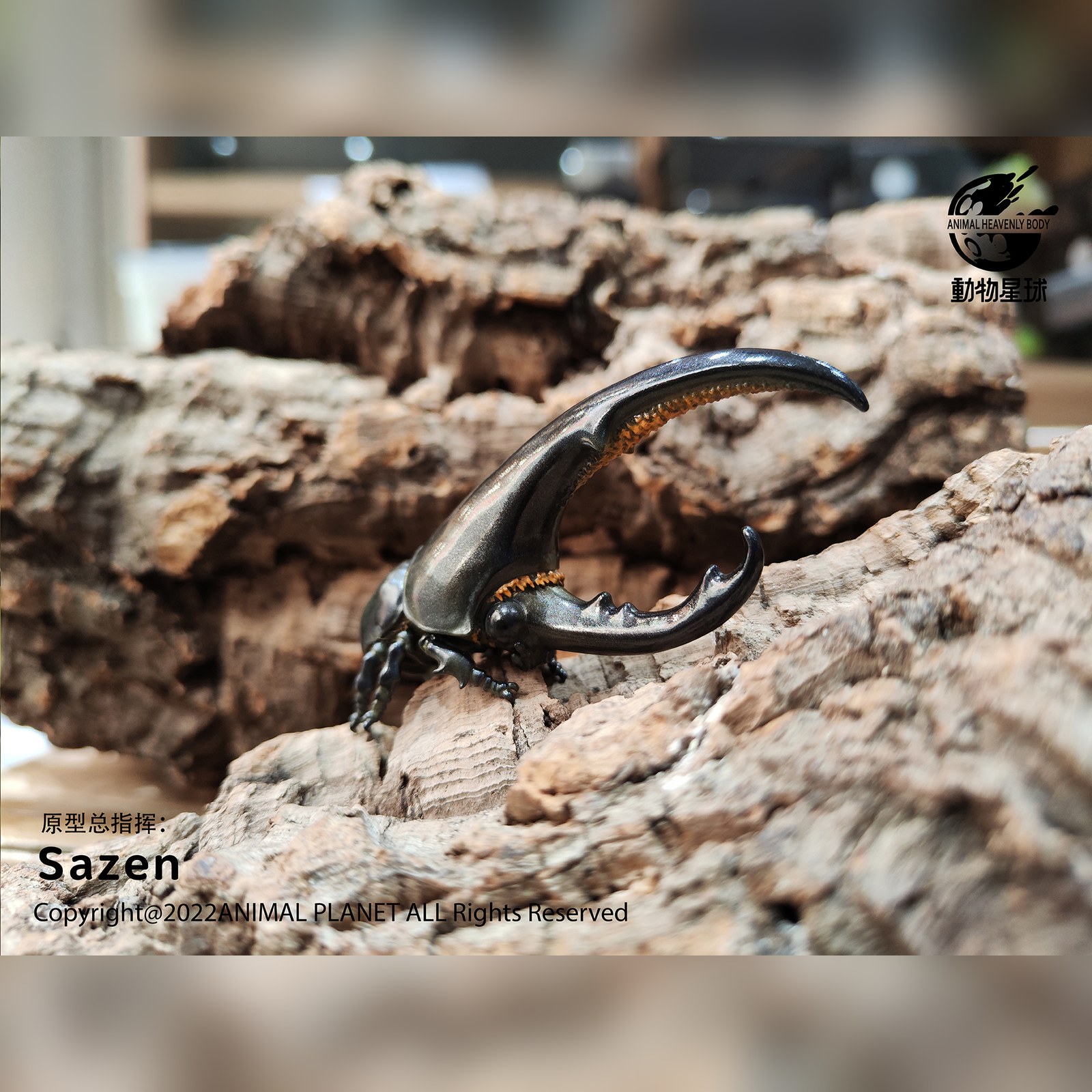 AHB Series 7 - Hercules Beetle (Black) – Dynastes hercules | Insect