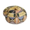AHB-SNAKE-V5-01_01-ae7f4290 AHB Series 5 - Gaboon Viper – Bitis gabonica | Snake