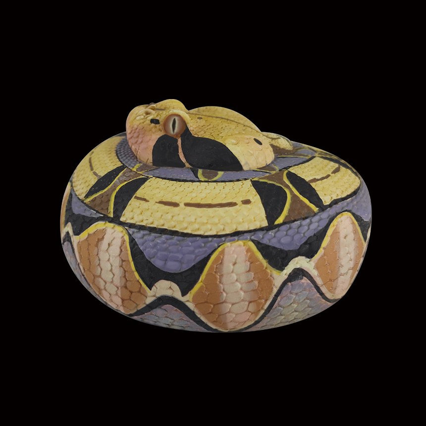 AHB-SNAKE-V5-01_04-e4cfe084 AHB Series 5 - Gaboon Viper – Bitis gabonica | Snake