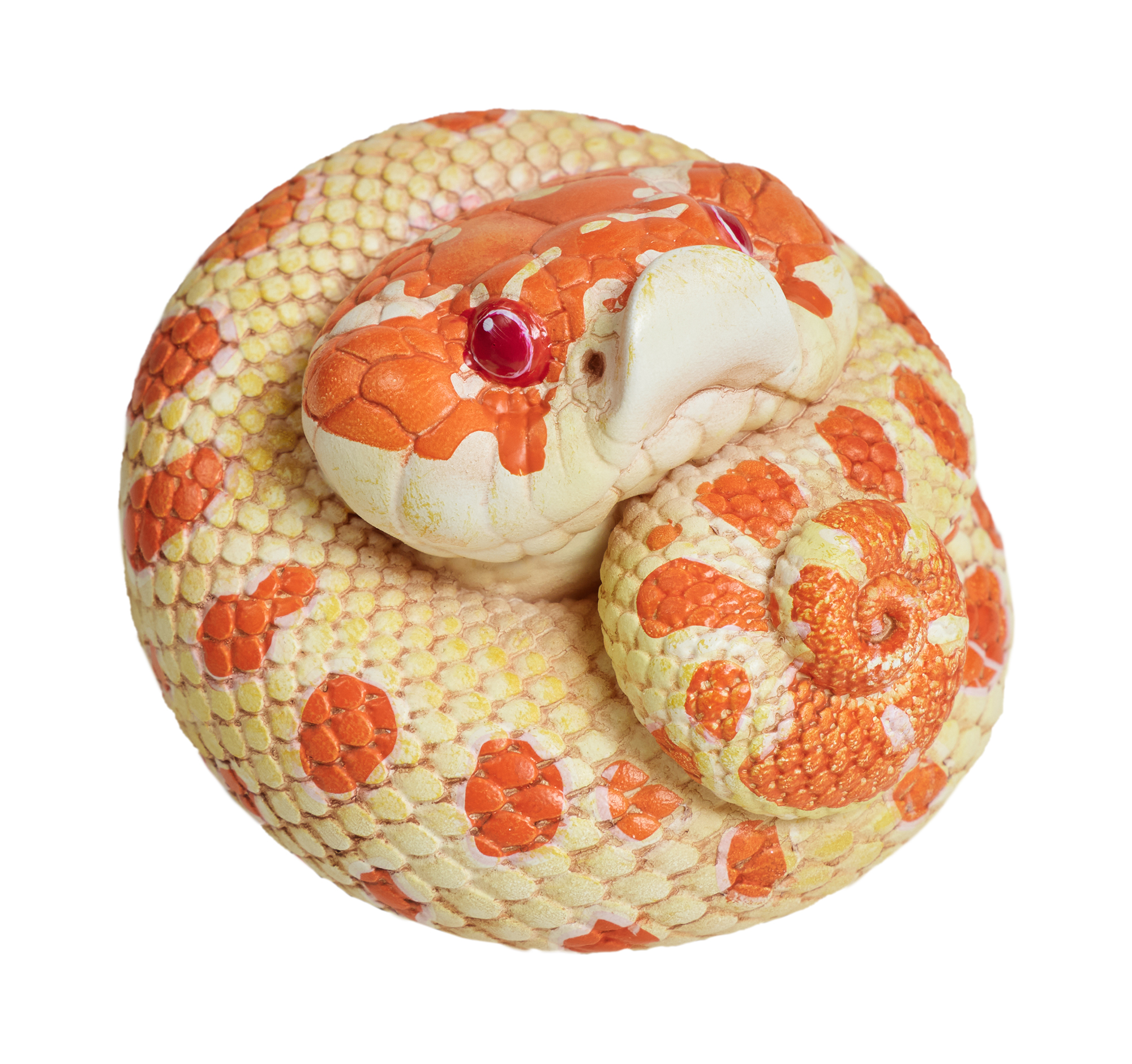 Extreme Red Hognose Snake