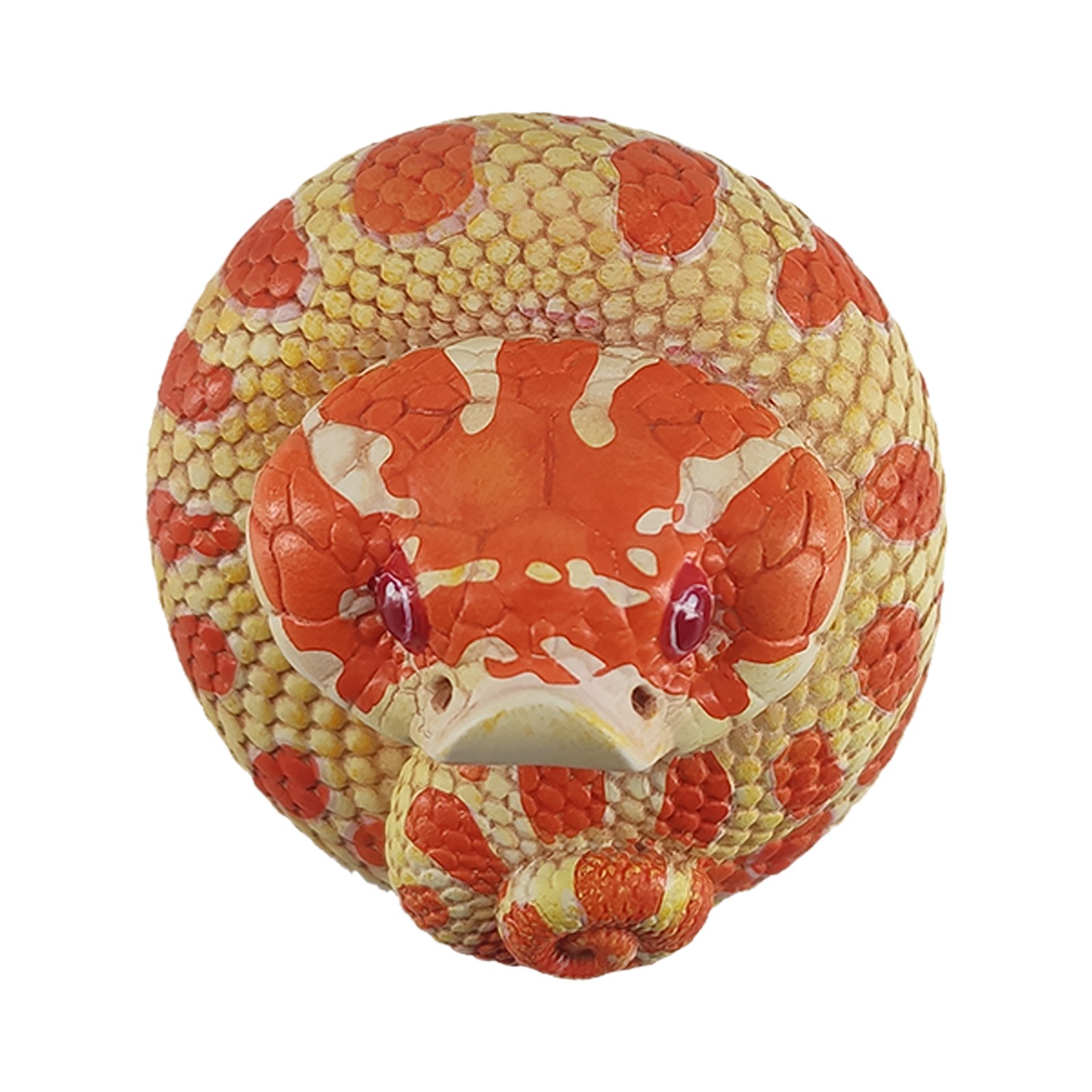 AHB Series 5 - Extreme Red Hognose Snake – Heterodon nasicus | Snake