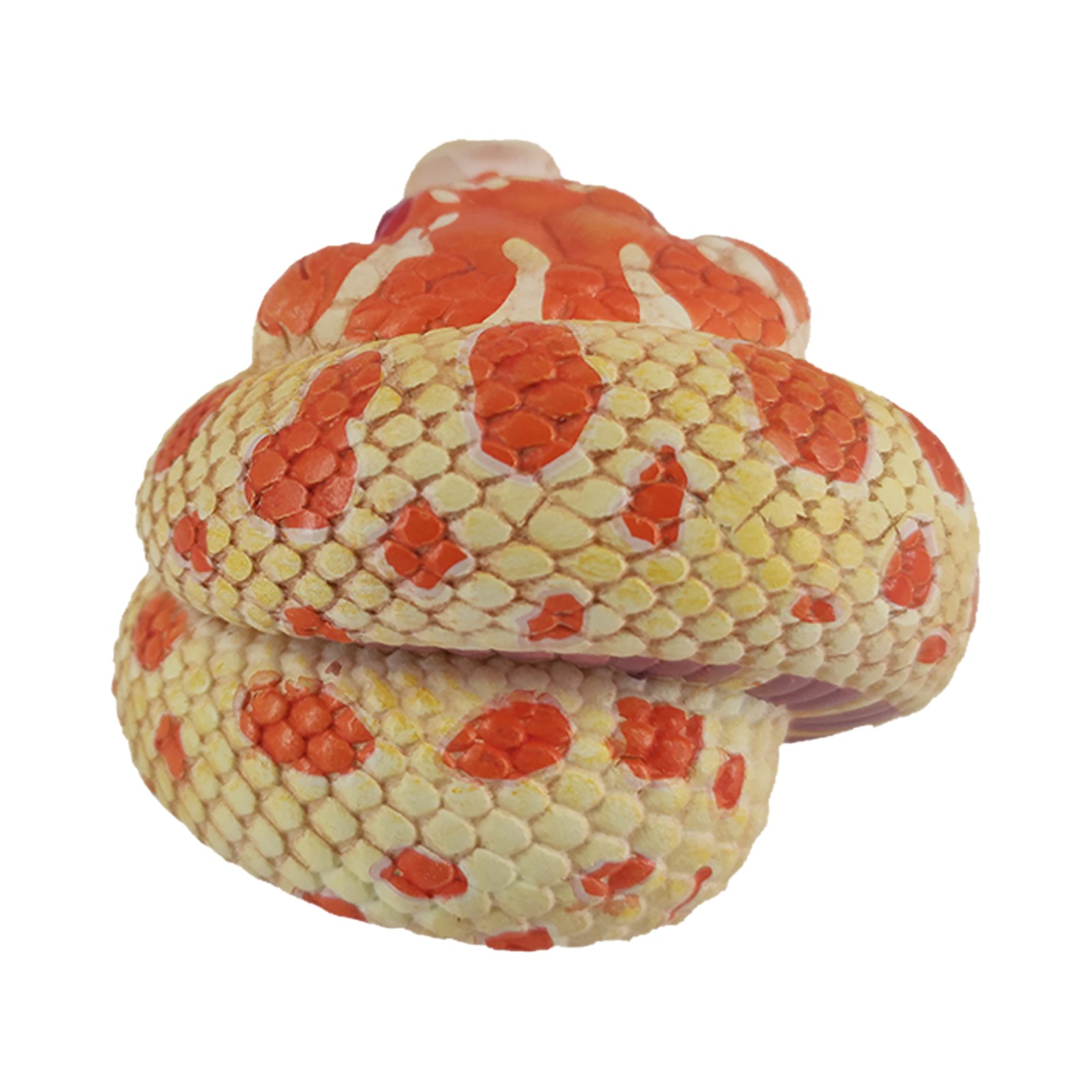 AHB Series 5 - Extreme Red Hognose Snake – Heterodon nasicus | Snake