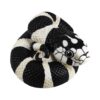 AHB Series 5 - California Kingsnake – Lampropeltis getula californiae | Snake