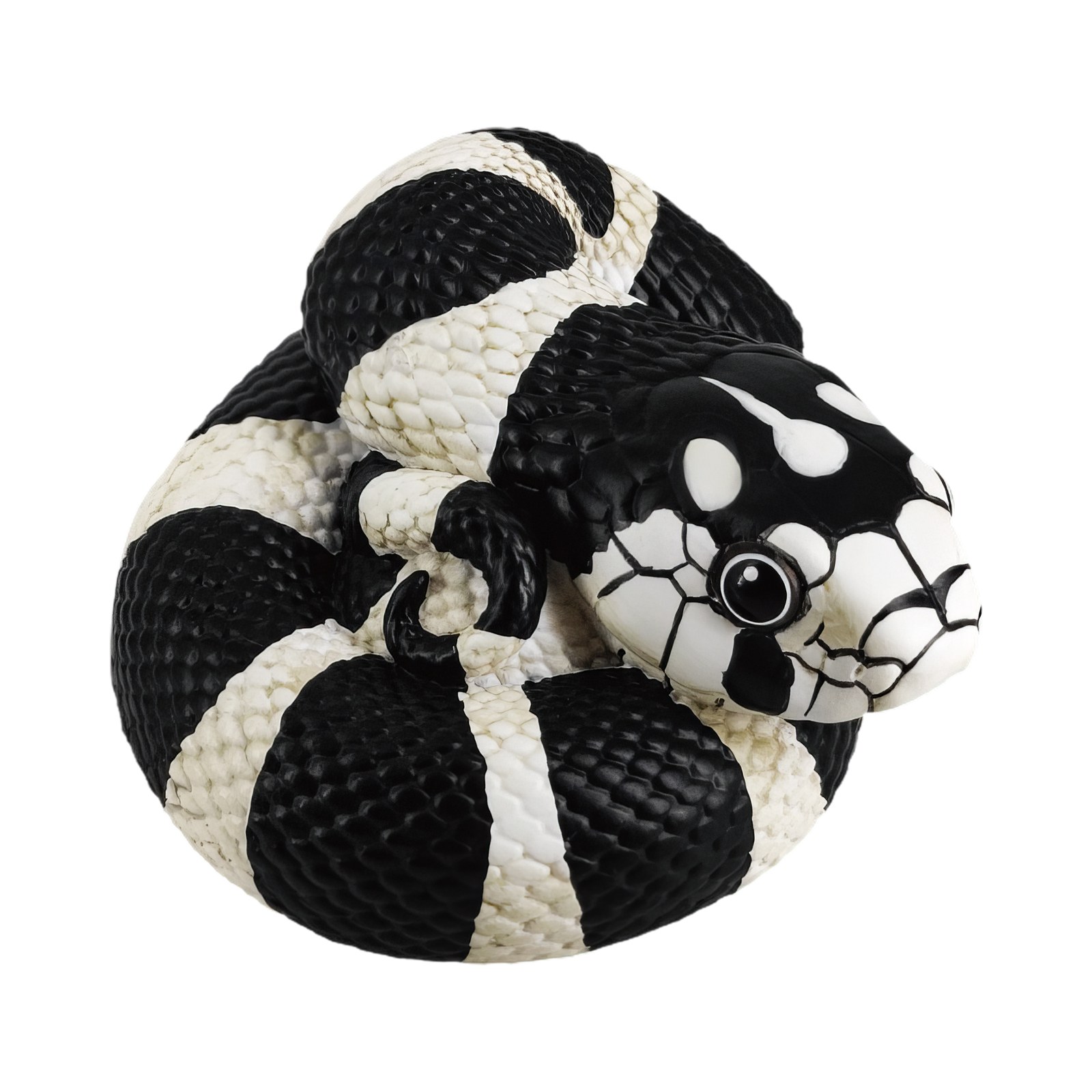 AHB Series 5 - California Kingsnake – Lampropeltis getula californiae | Snake