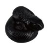 AHB-SNAKE-V5-05_01-2fff9619 AHB Series 5 - Mexican Black Kingsnake – Lampropeltis getula nigrita | Snake
