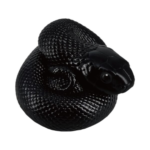 AHB-SNAKE-V5-05_01-2fff9619 AHB Series 5 - Mexican Black Kingsnake – Lampropeltis getula nigrita | Snake